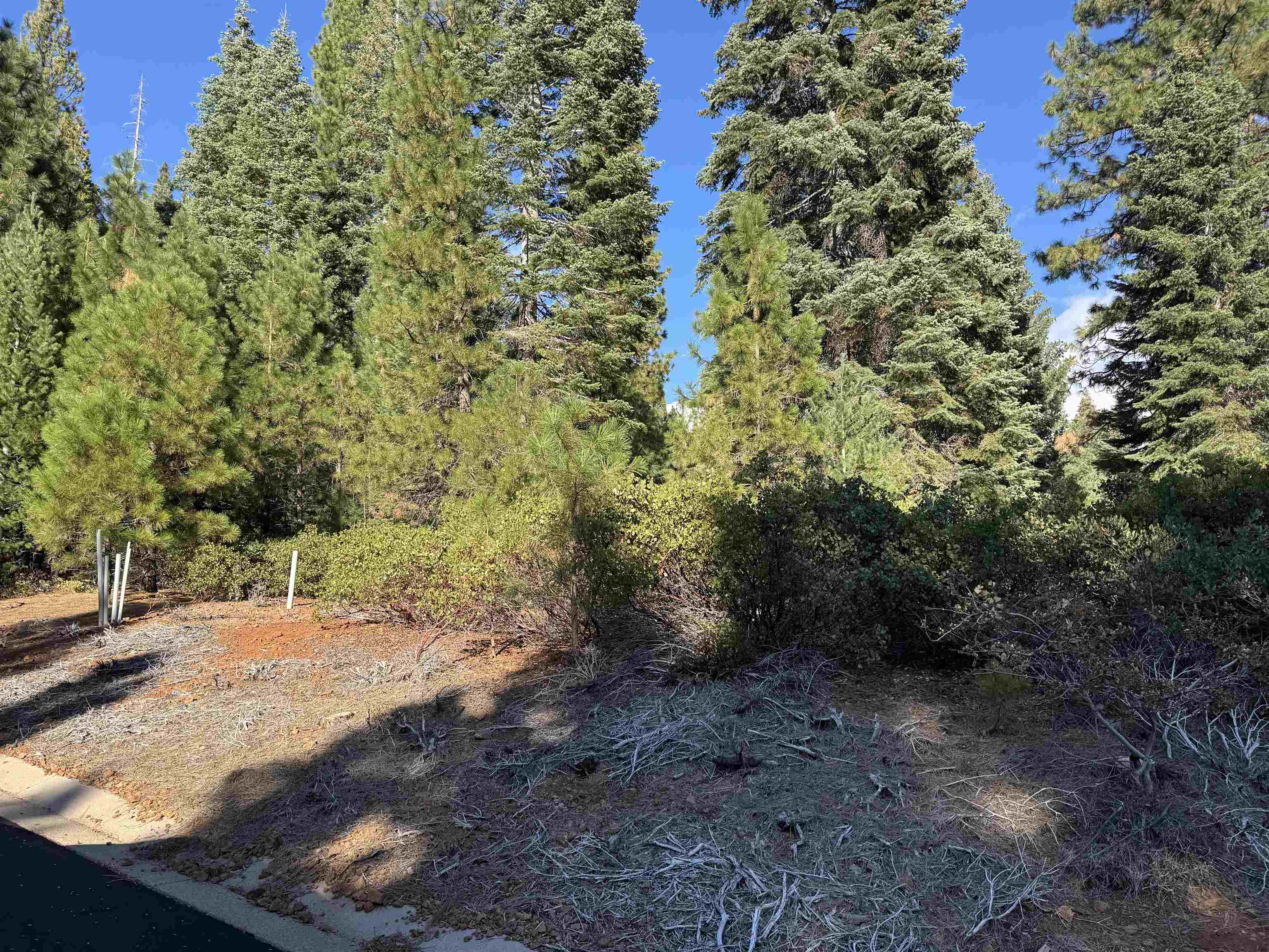 Lake Almanor, California 96137, United States, ,Land,Active,226590