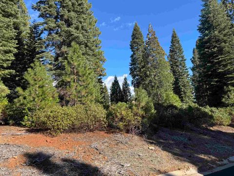 Vacant Land For Sale - 245 Fox Crest Drive Dr<br/> Lake Almanor, CA 96137