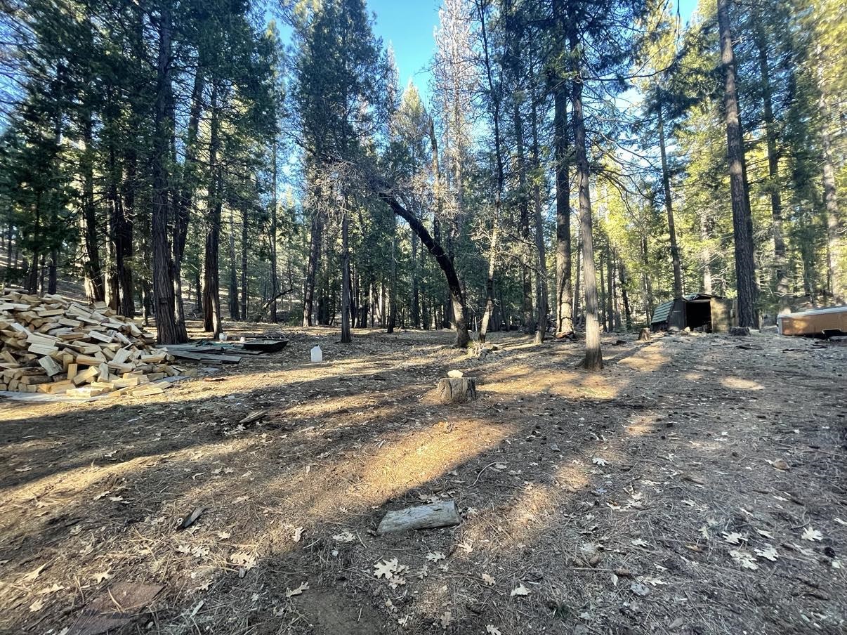 8371 Bucks Lake Road, Meadow Valley, California image 45
