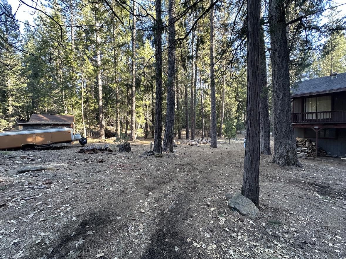 8371 Bucks Lake Road, Meadow Valley, California image 28