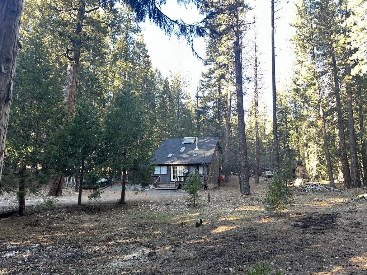 8371 Bucks Lake Road, Meadow Valley, California image 25