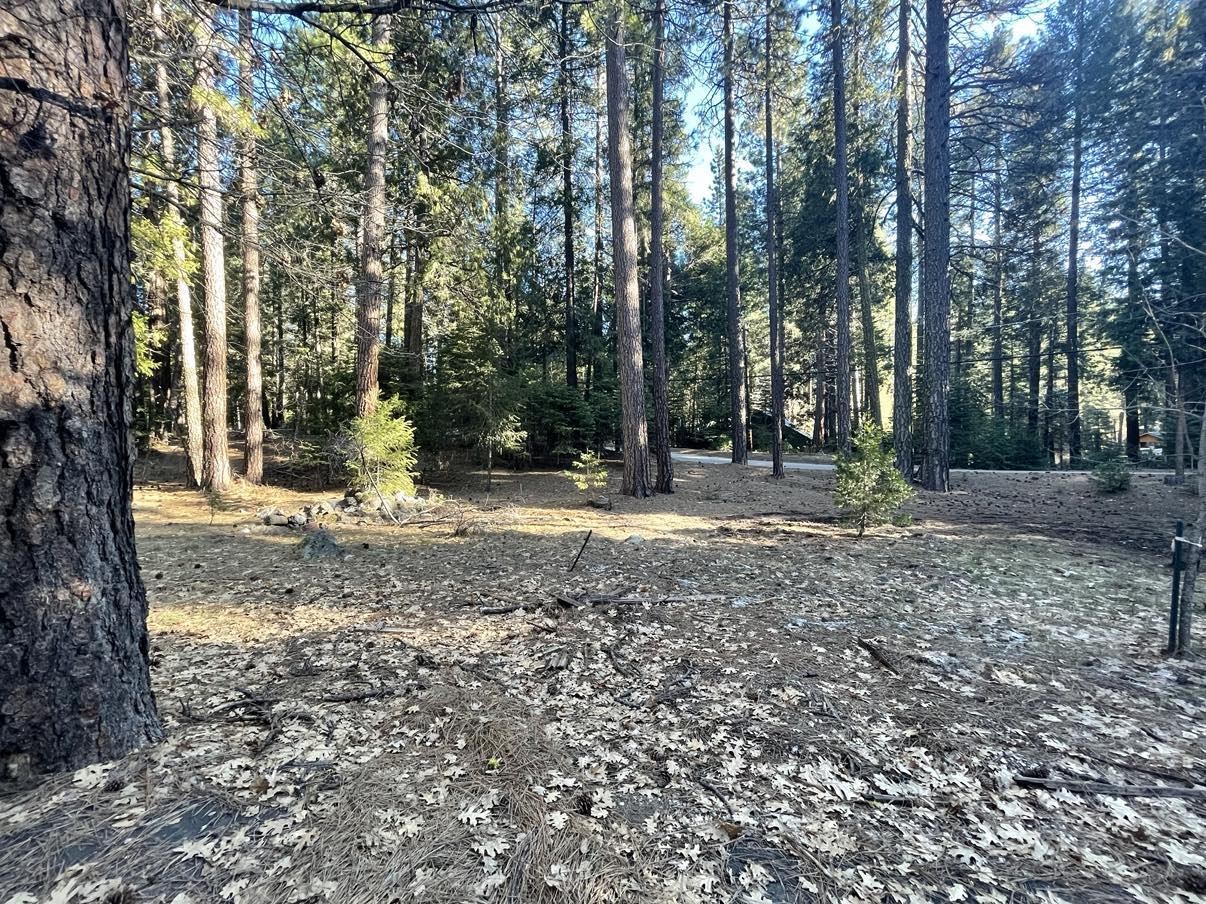 8371 Bucks Lake Road, Meadow Valley, California image 43