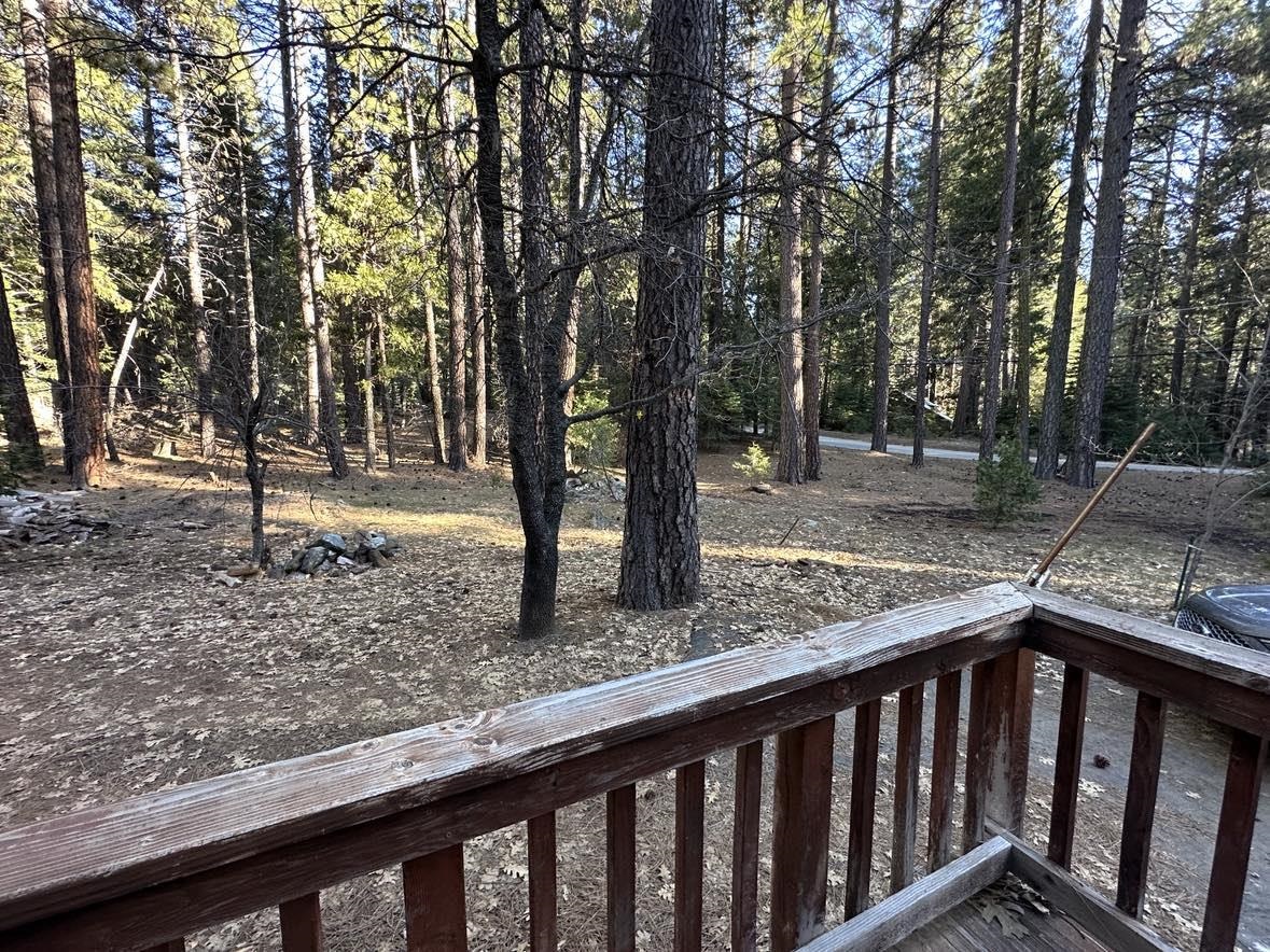 8371 Bucks Lake Road, Meadow Valley, California image 23