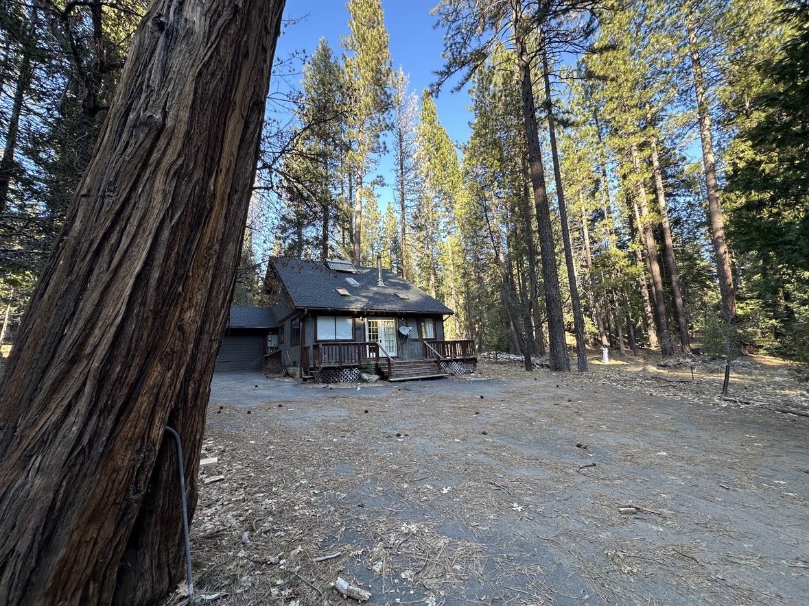 8371 Bucks Lake Road, Meadow Valley, California image 26