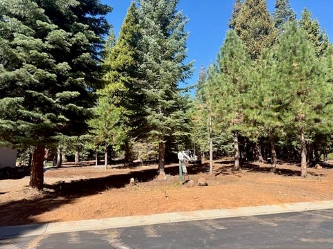 Homes For Sale - 311 Alpine Fir Road Rd<br/> Lake Almanor, CA 96137