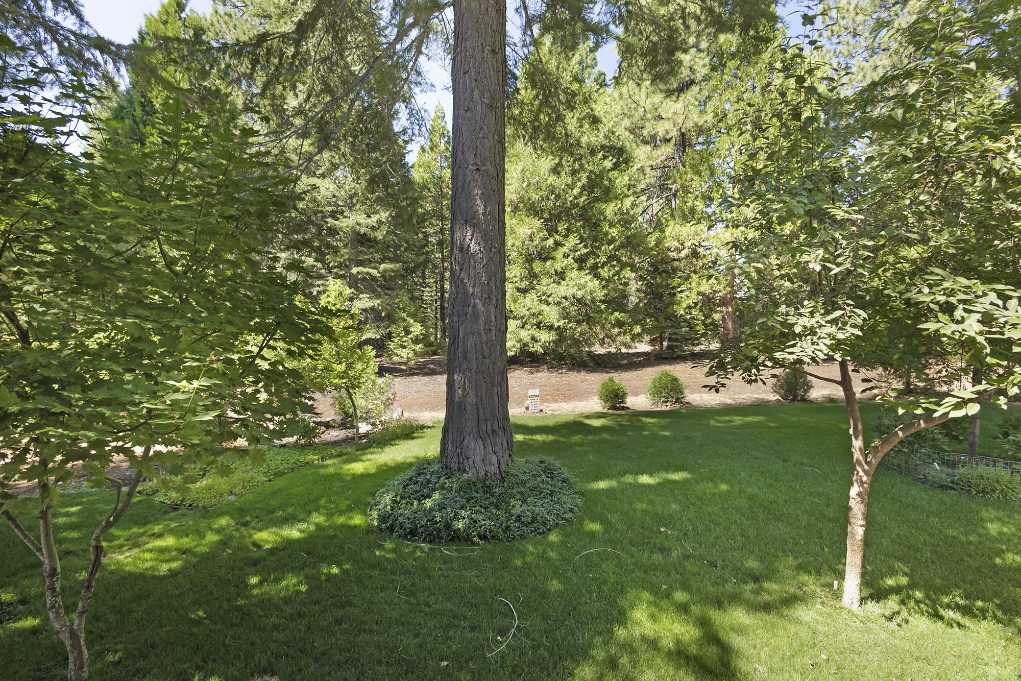 138 Highwood Circle, Lake Almanor, New Mexico image 38