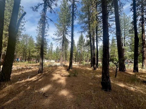 Vacant Land For Sale - 5739 Iron Horse Drive<br/> Plumas County, Portola, CA 96122