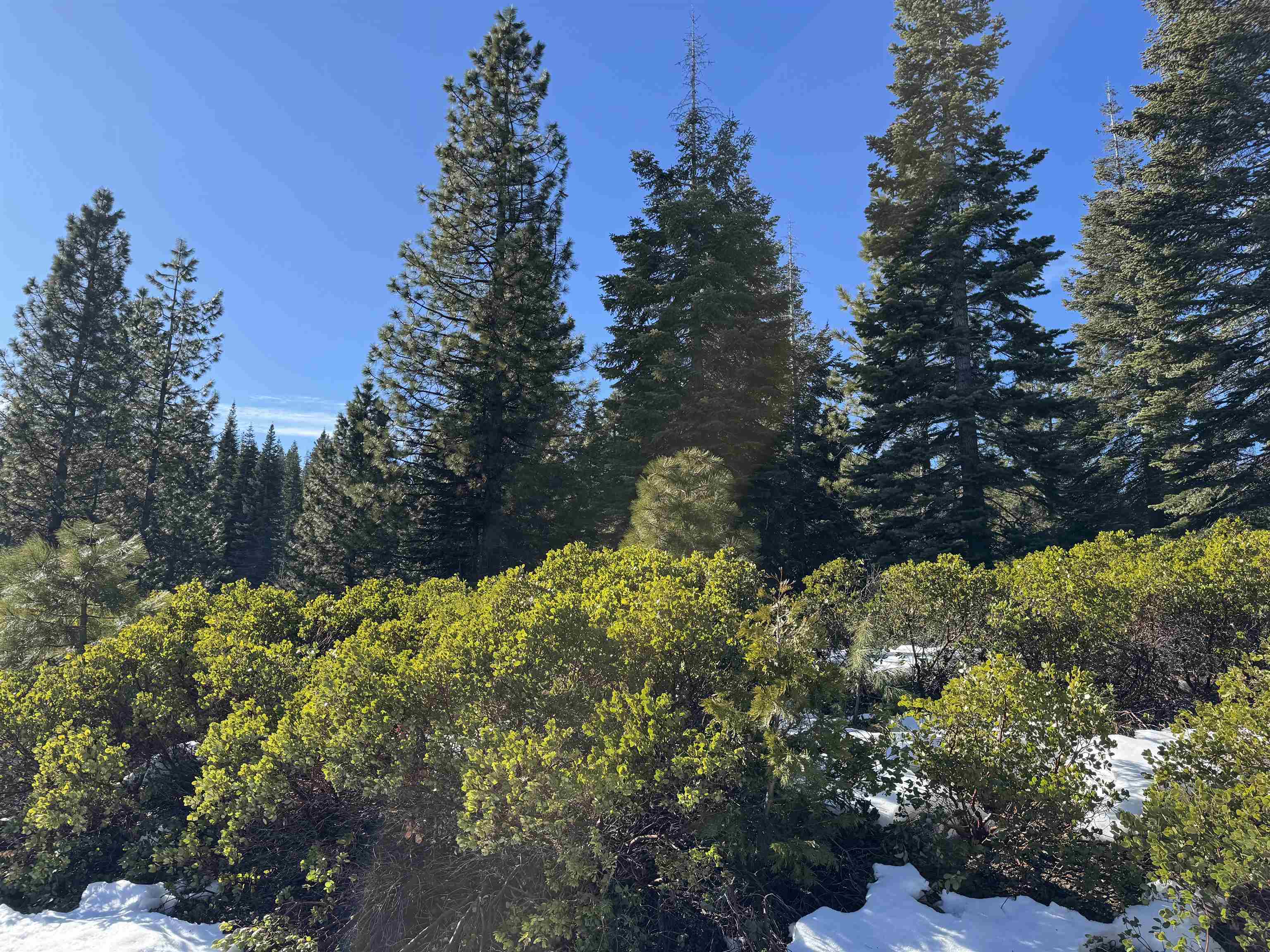 Lake Almanor, California 96137, United States, ,Land,Active,15975