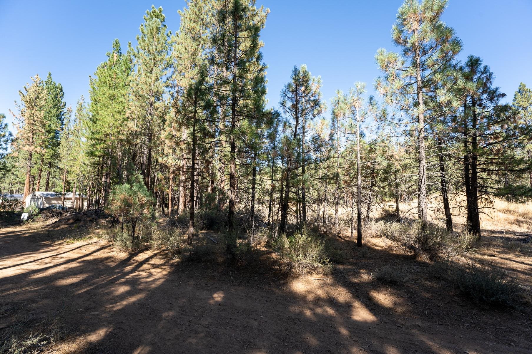 240 Bear Way, Portola, New Mexico image 2