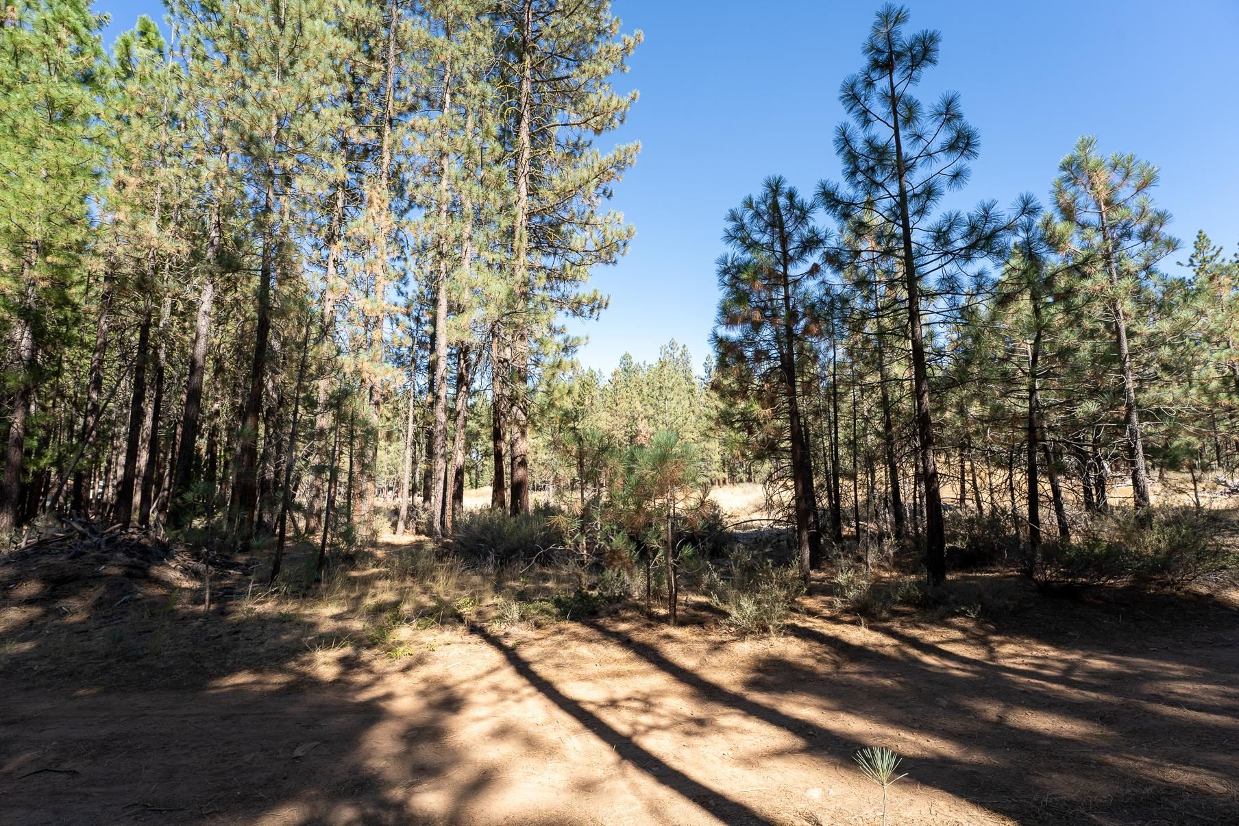 240 Bear Way, Portola, New Mexico image 1