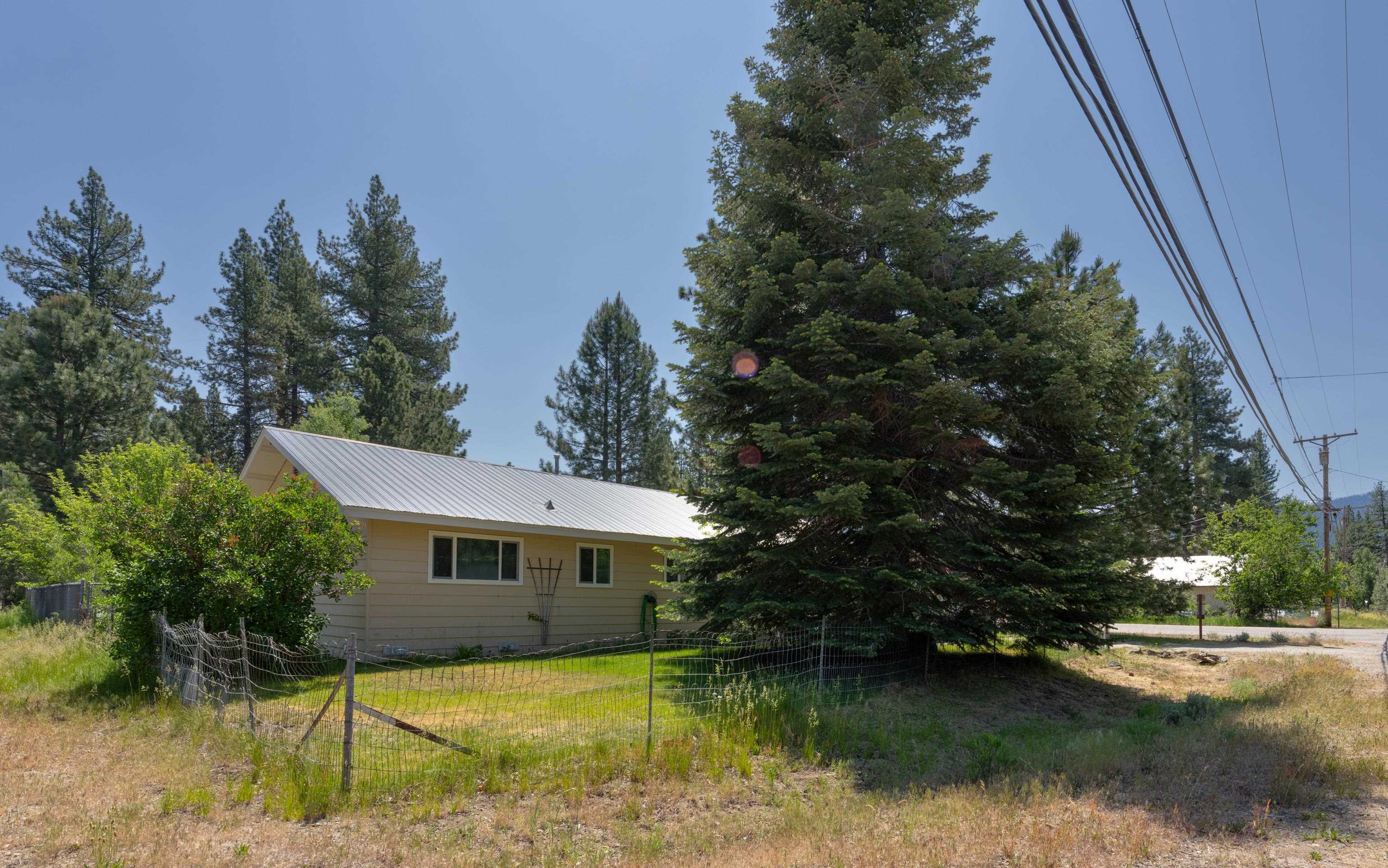 280 Pine Street, Clio, Texas image 2