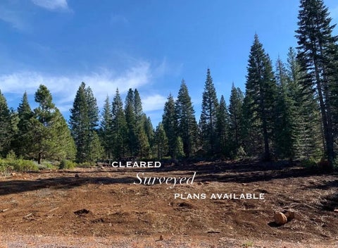 Vacant Land For Sale - 29 Bailey Creek Drive<br/> Lake Almanor, CA 96137