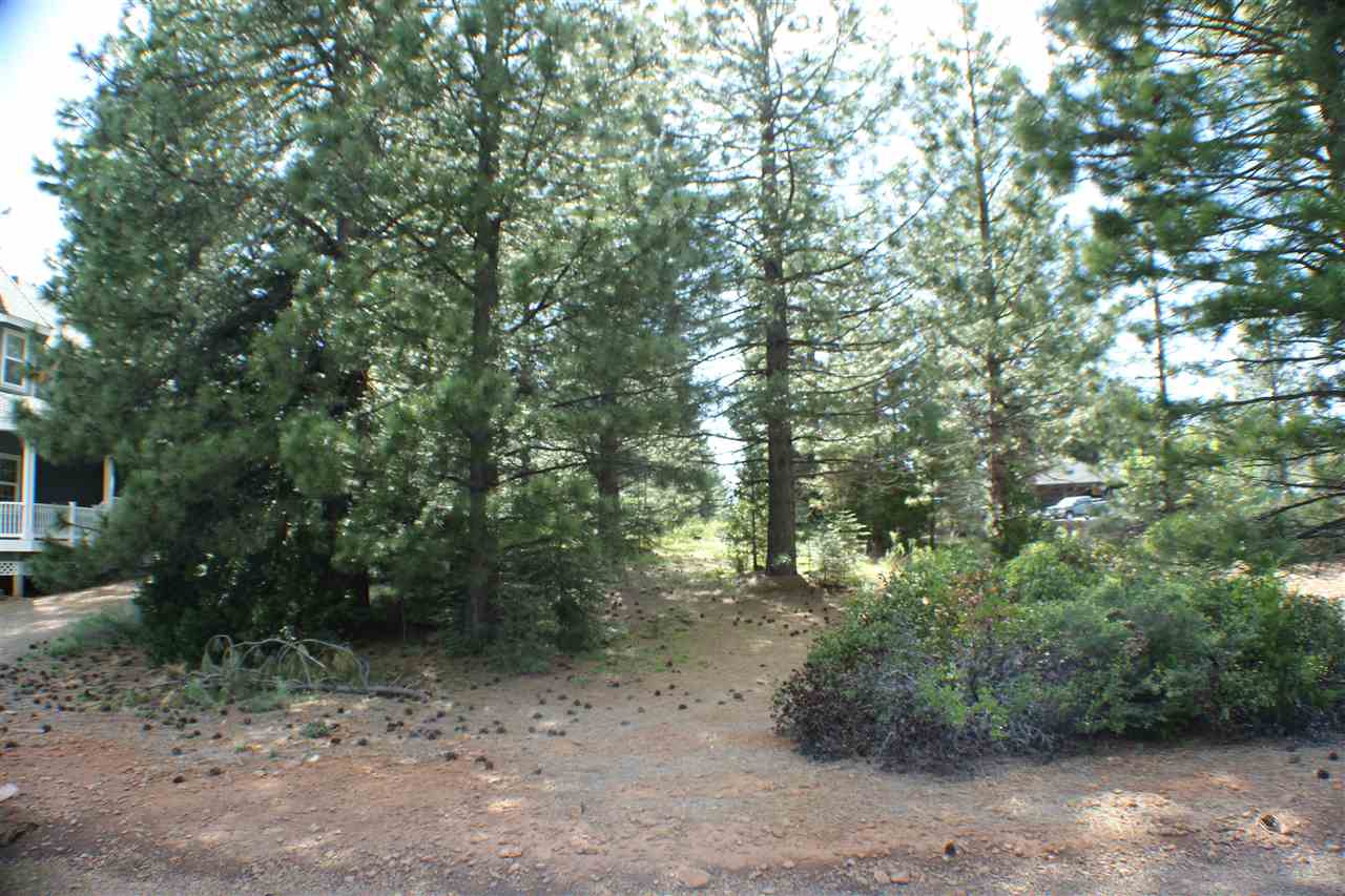 Lake Almanor, California 96137, United States, ,Land,Active,177369