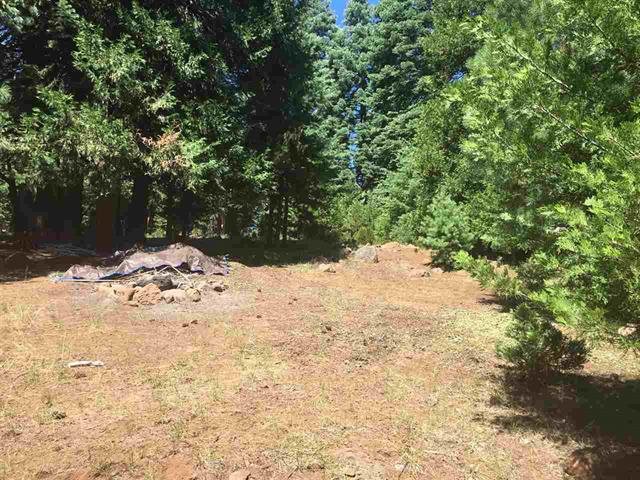 1019 Timber Ridge Road, Lake Almanor, California image 4