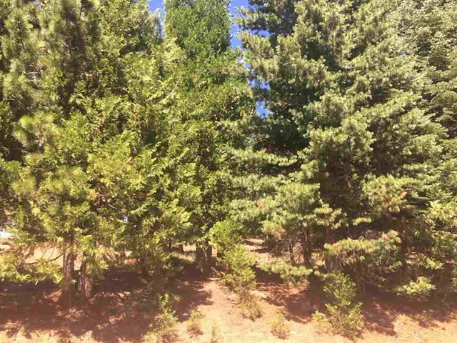 1019 Timber Ridge Road, Lake Almanor, California image 8