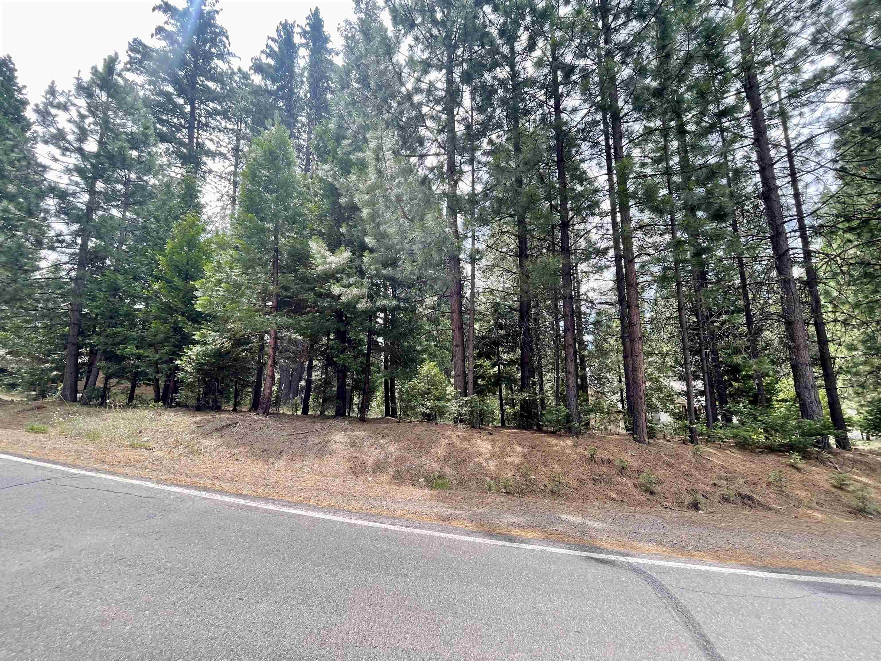 1008 Timber Ridge Road, Lake Almanor, California image 2