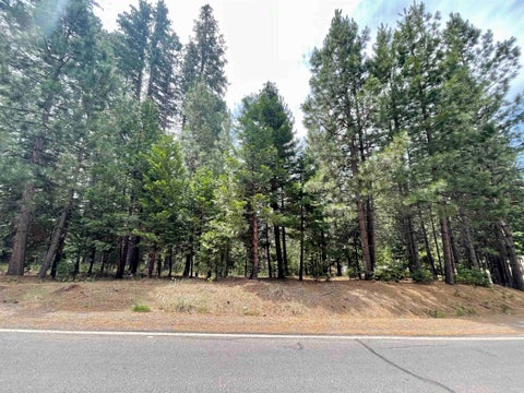 Vacant Land For Sale - 1008 Timber Ridge Road Rd<br/> Lake Almanor, CA 96137