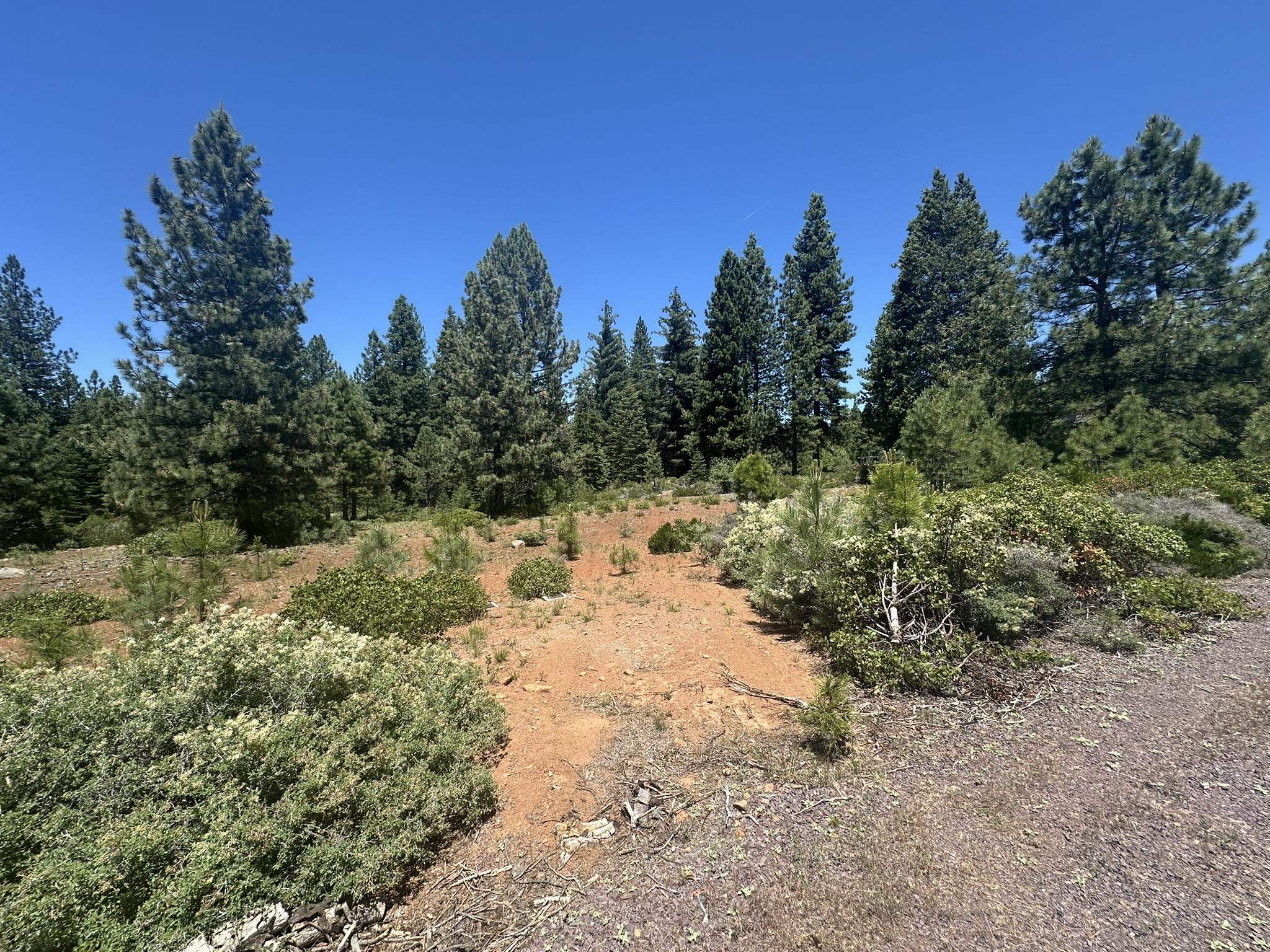 360 Bailey Creek Drive, Lake Almanor, California image 1