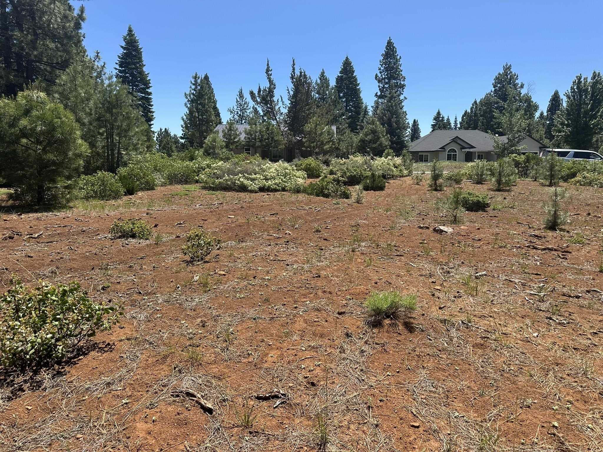 360 Bailey Creek Drive, Lake Almanor, California image 5