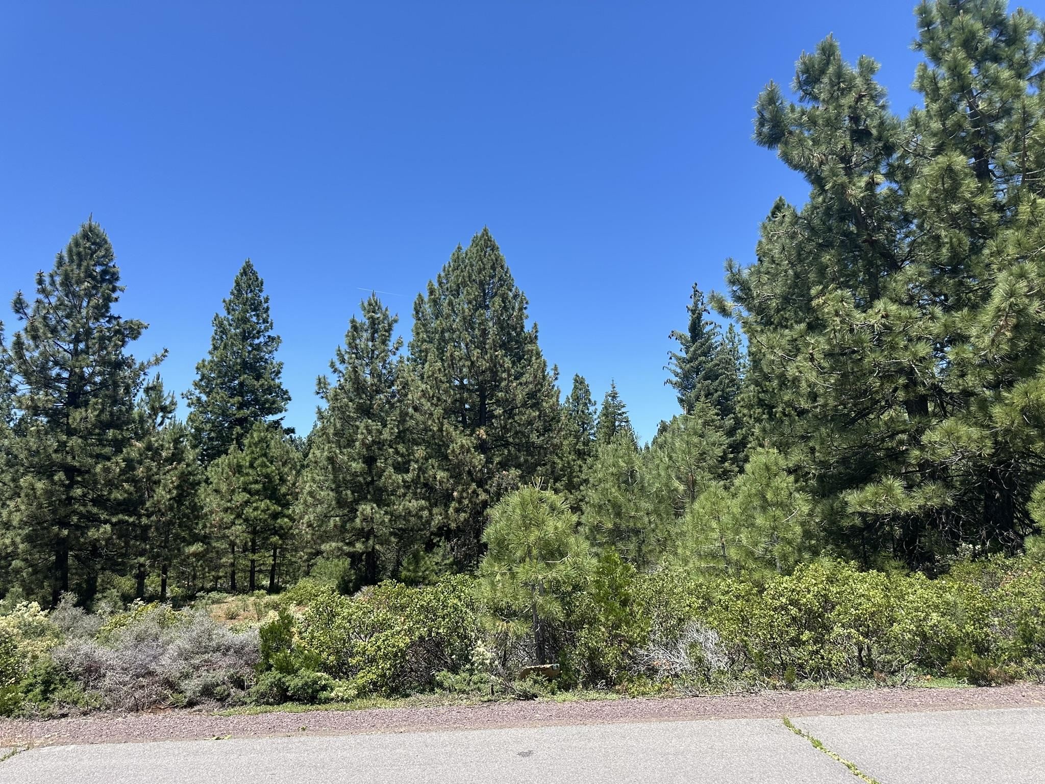 360 Bailey Creek Drive, Lake Almanor, California image 3