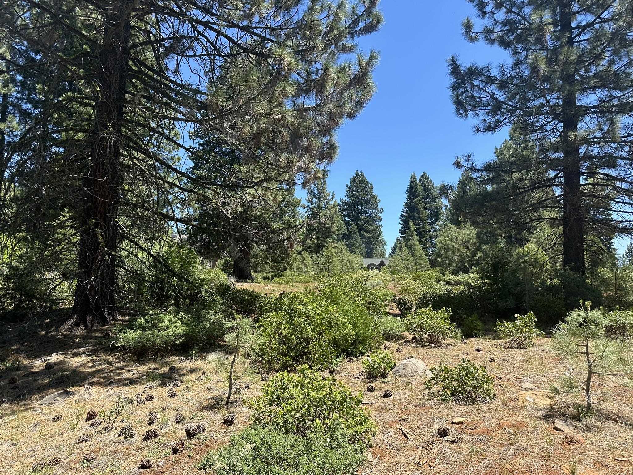 360 Bailey Creek Drive, Lake Almanor, California image 6