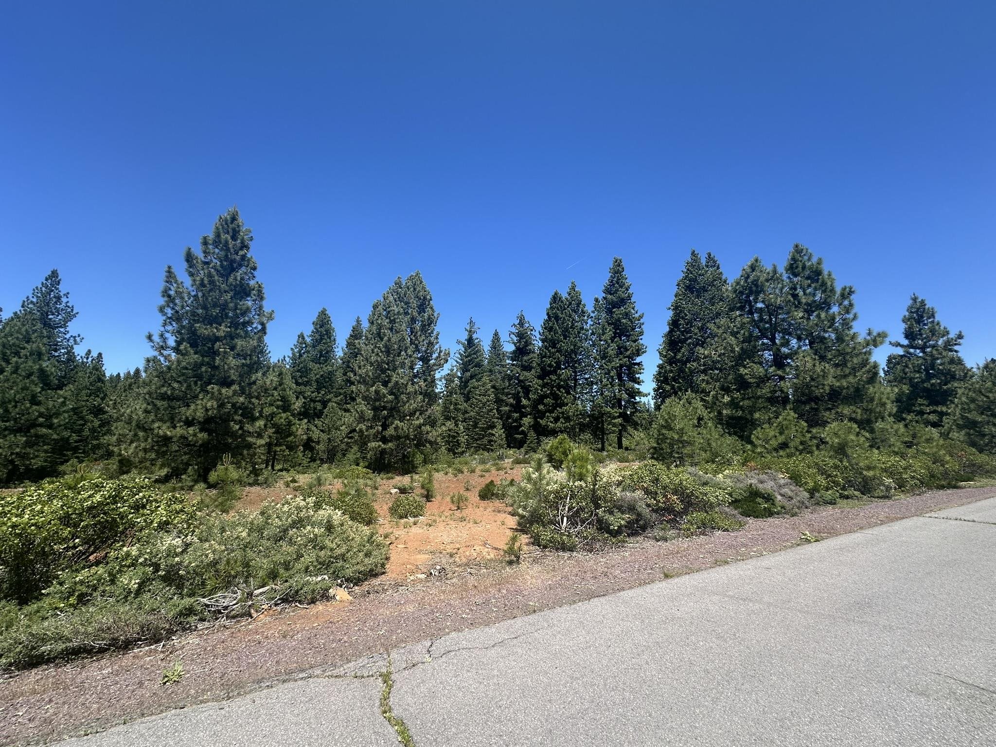 360 Bailey Creek Drive, Lake Almanor, California image 9