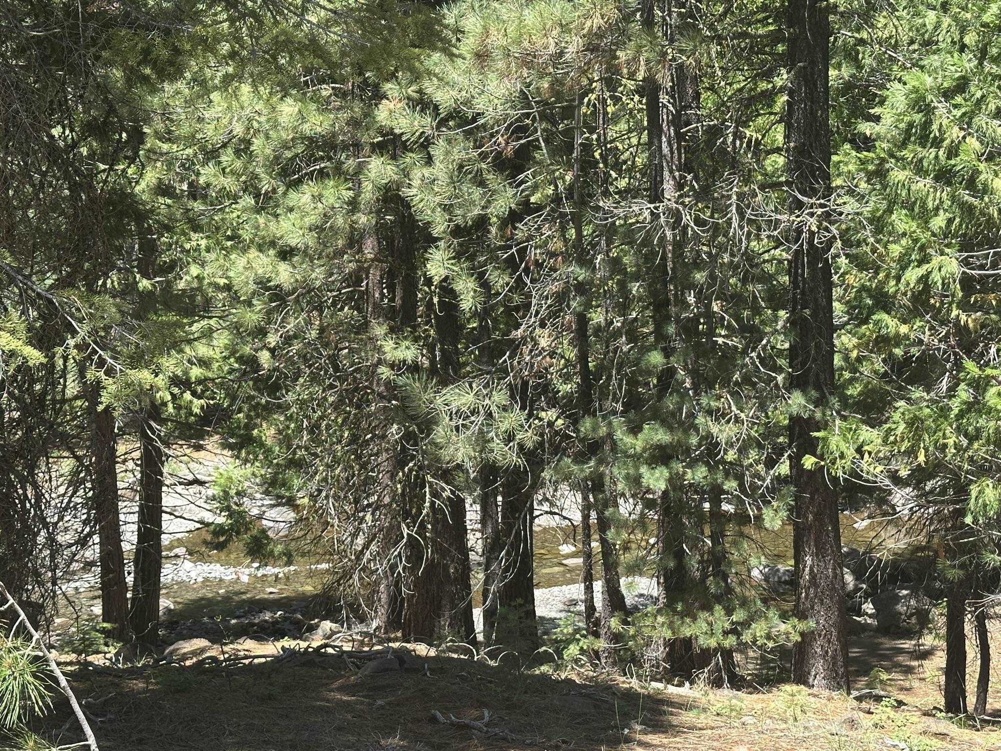 360 Bailey Creek Drive, Lake Almanor, California image 7
