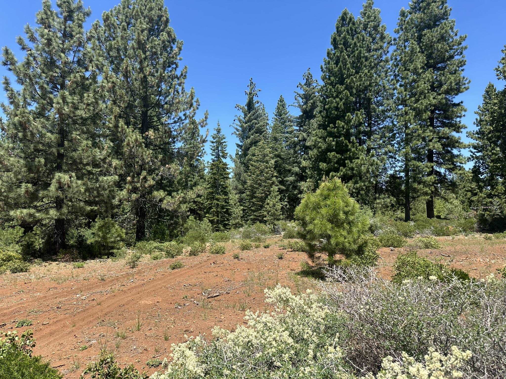 360 Bailey Creek Drive, Lake Almanor, California image 4