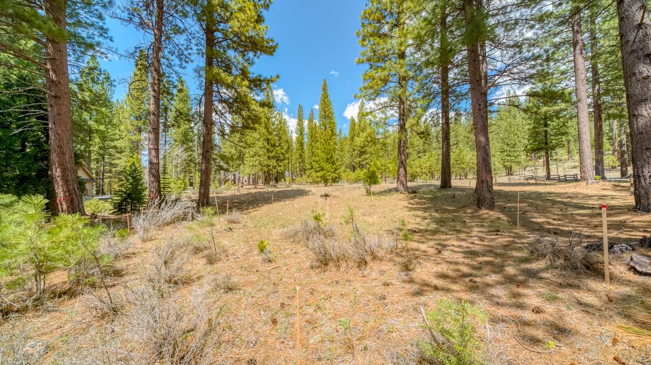 118 Saddle Ridge Road, Clio, California image 12