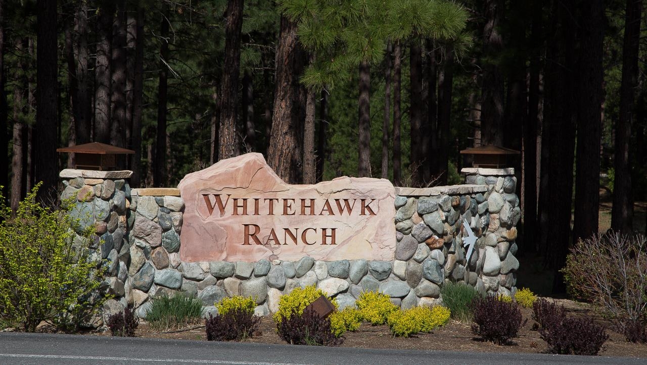 118 Saddle Ridge Road, Clio, California image 23