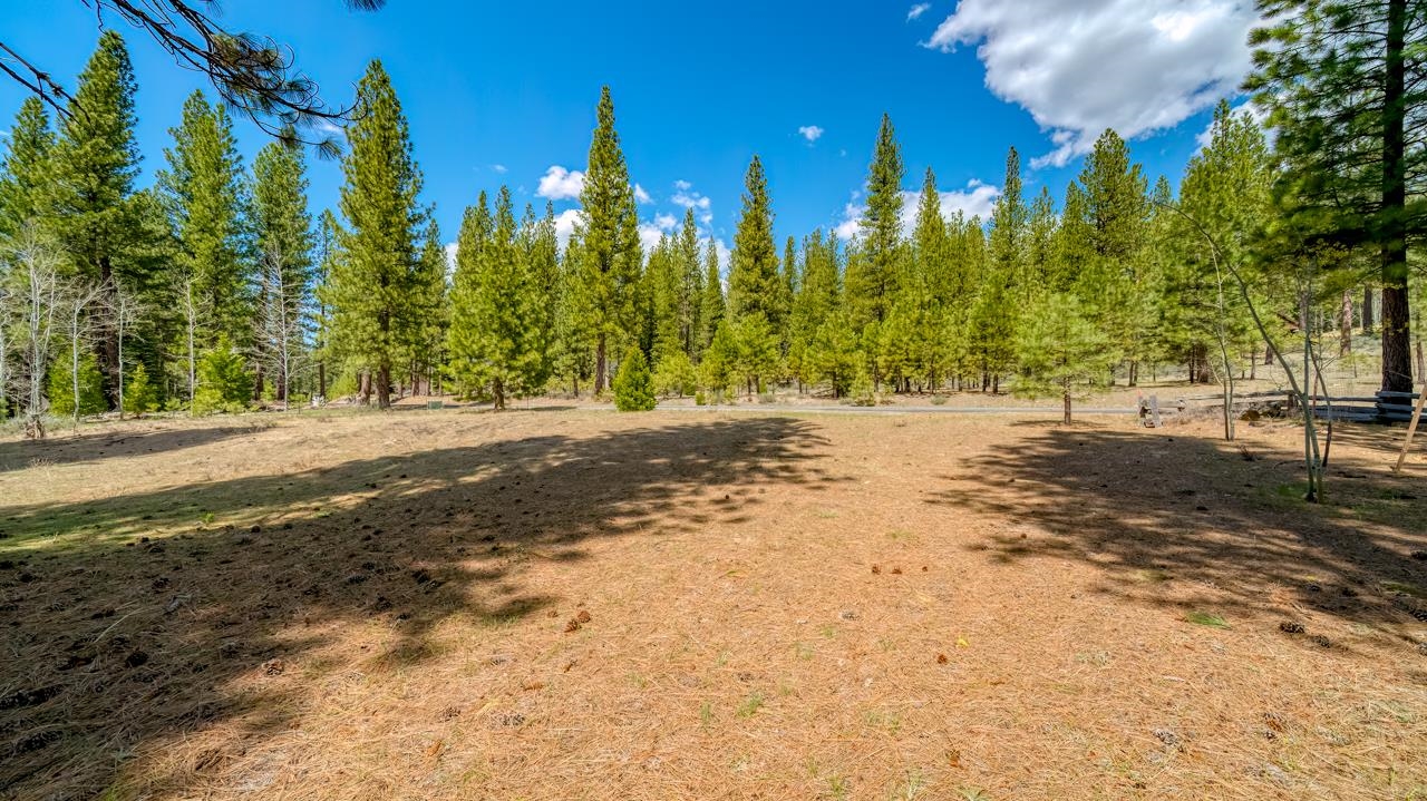 118 Saddle Ridge Road, Clio, California image 14