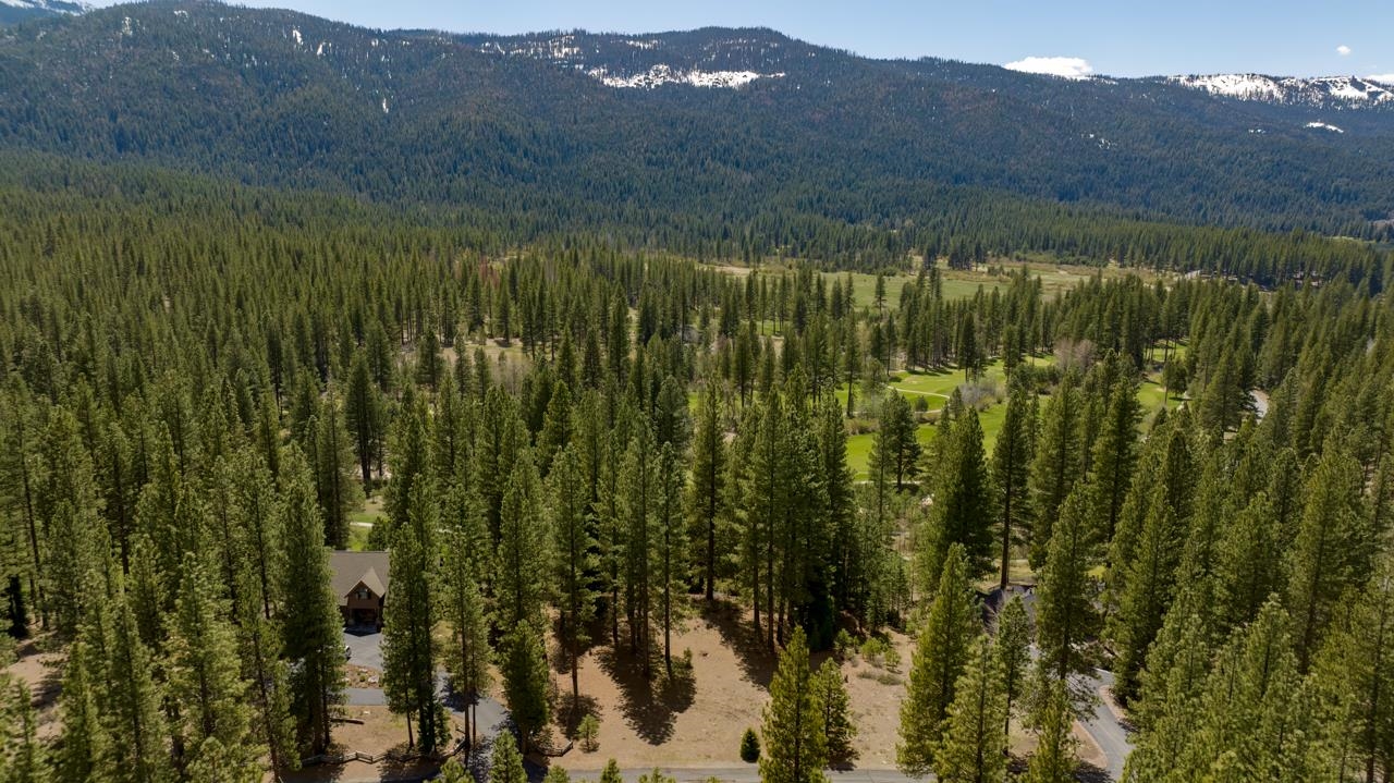 118 Saddle Ridge Road, Clio, California image 20