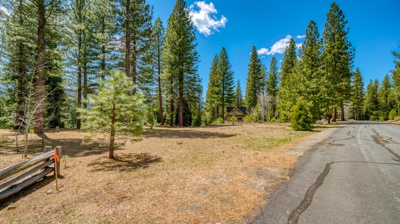 118 Saddle Ridge Road, Clio, California image 18