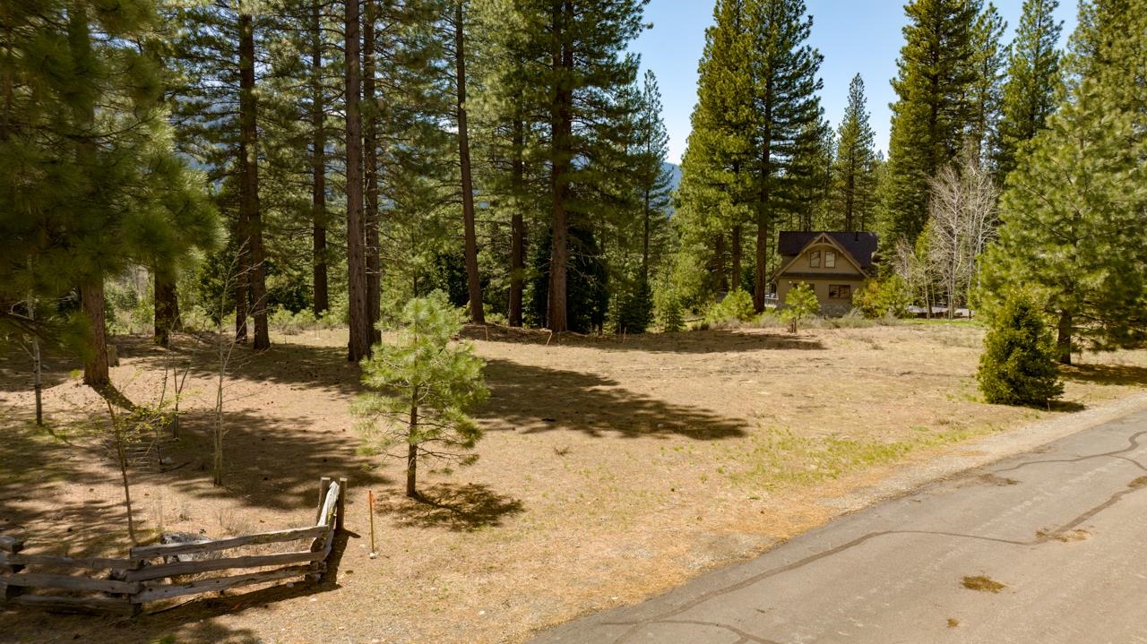 118 Saddle Ridge Road, Clio, California image 17