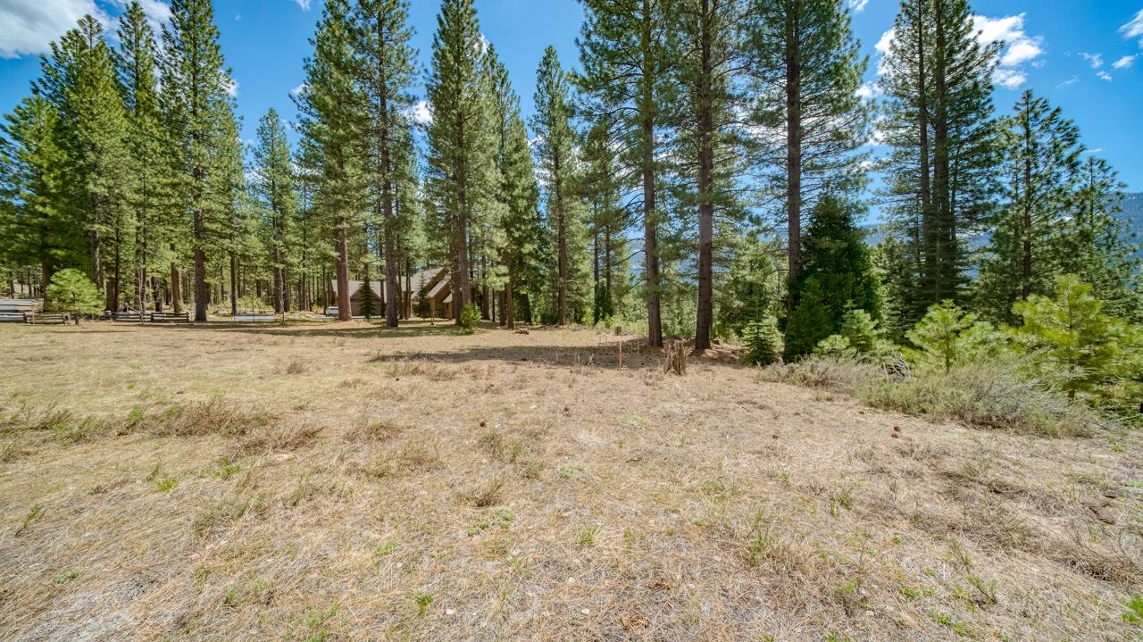118 Saddle Ridge Road, Clio, California image 5