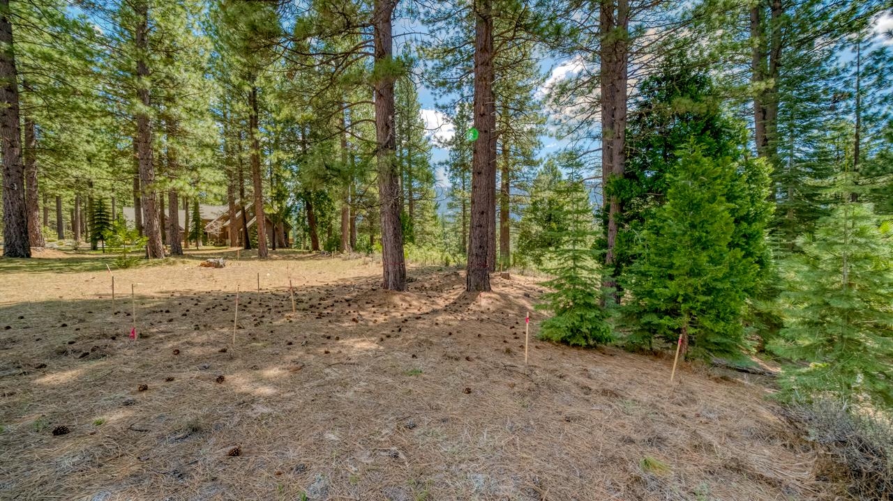 118 Saddle Ridge Road, Clio, California image 7