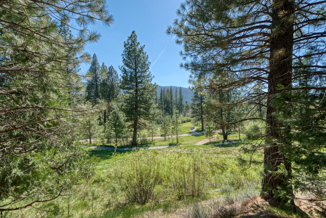 118 Saddle Ridge Road, Clio, California image 4