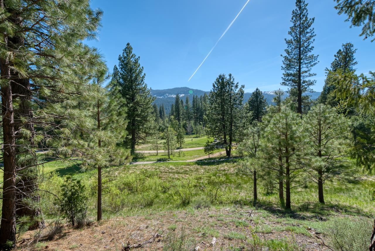 118 Saddle Ridge Road, Clio, California image 2