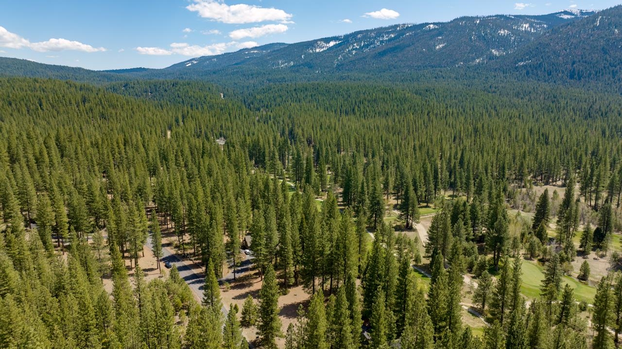 118 Saddle Ridge Road, Clio, California image 22