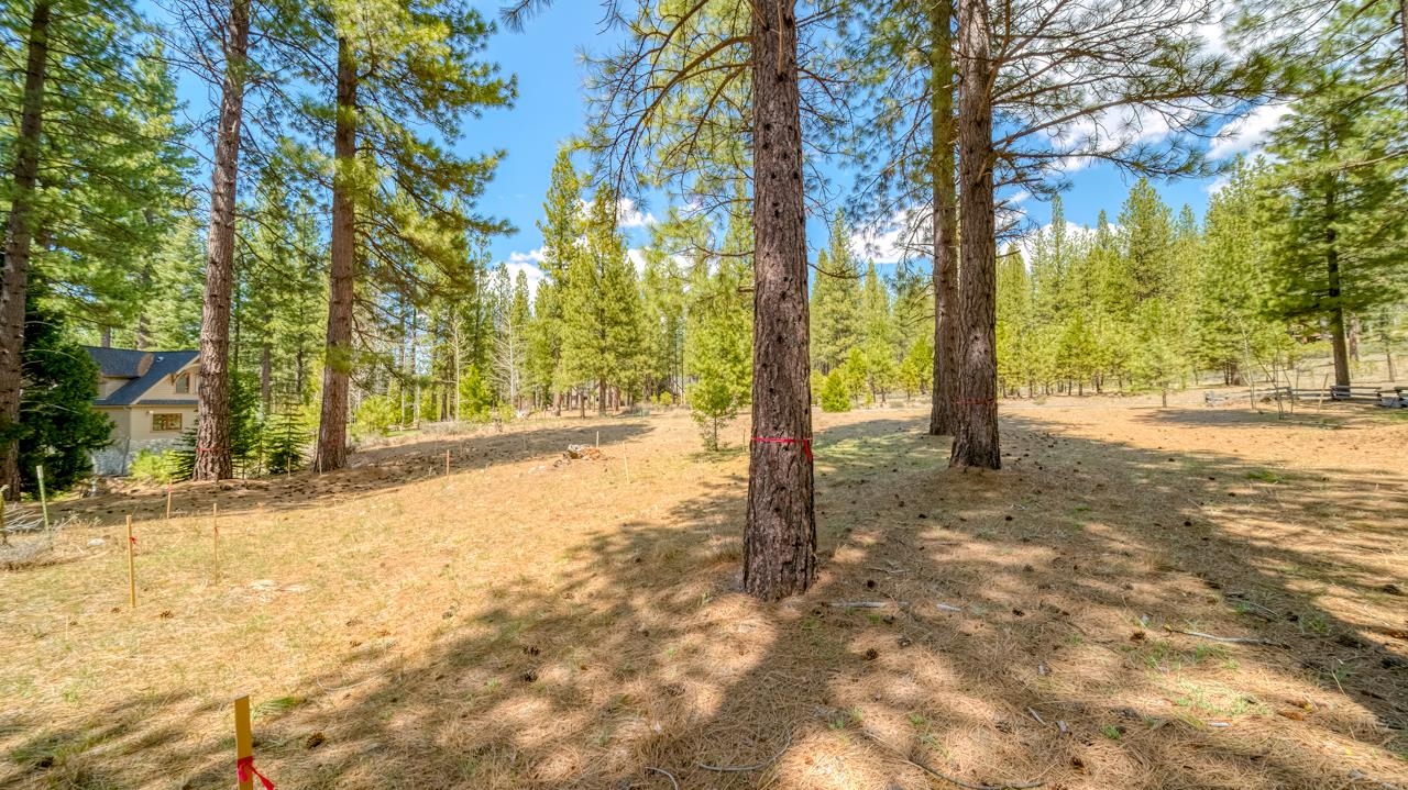 118 Saddle Ridge Road, Clio, California image 13