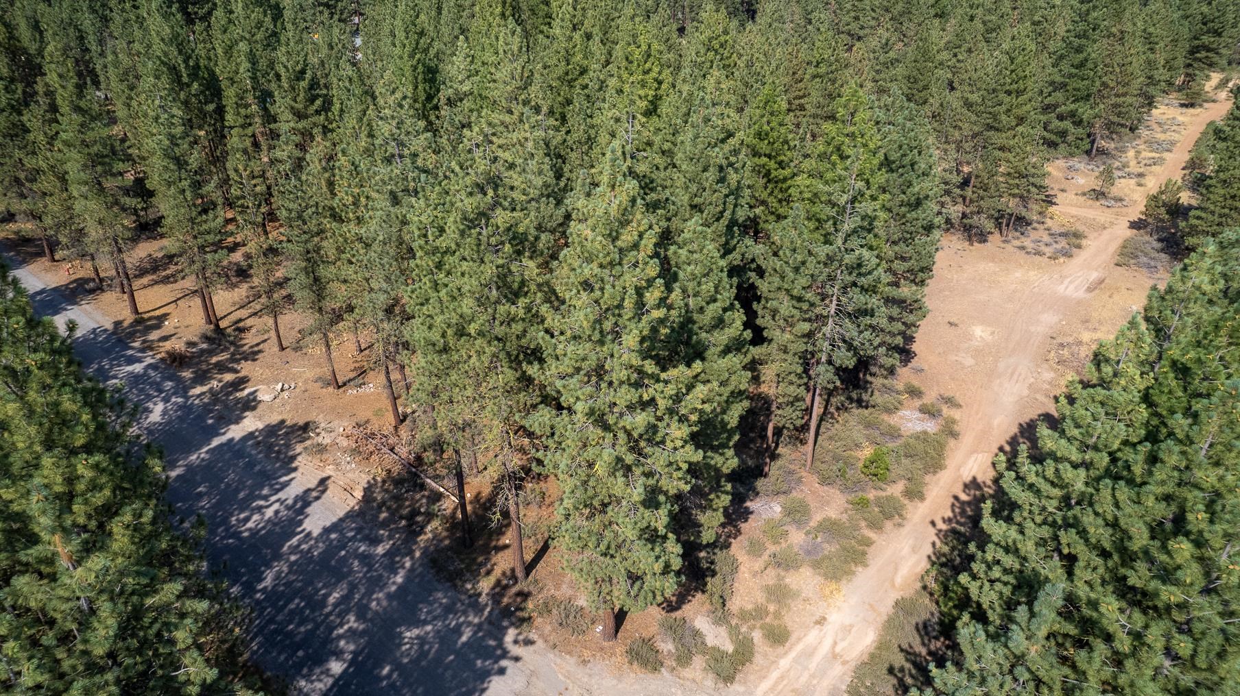 109 Grizzly Way, Portola, California image 9