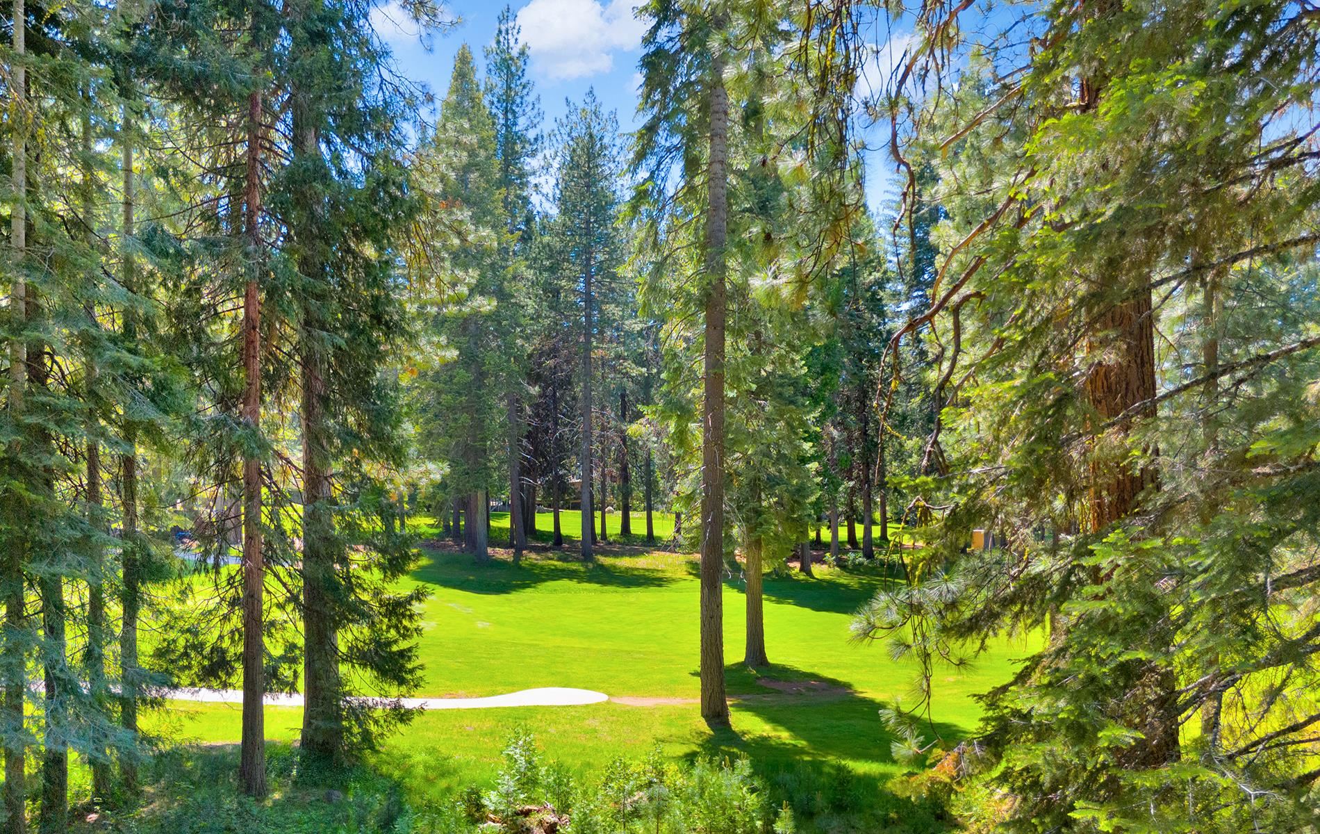 226 Lake Almanor West Drive #B, Lake Almanor West, Ohio image 43
