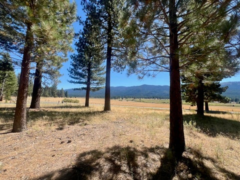 Vacant Land For Sale - 412 Valley Ranch Drive Dr<br/> Clio, CA 96106