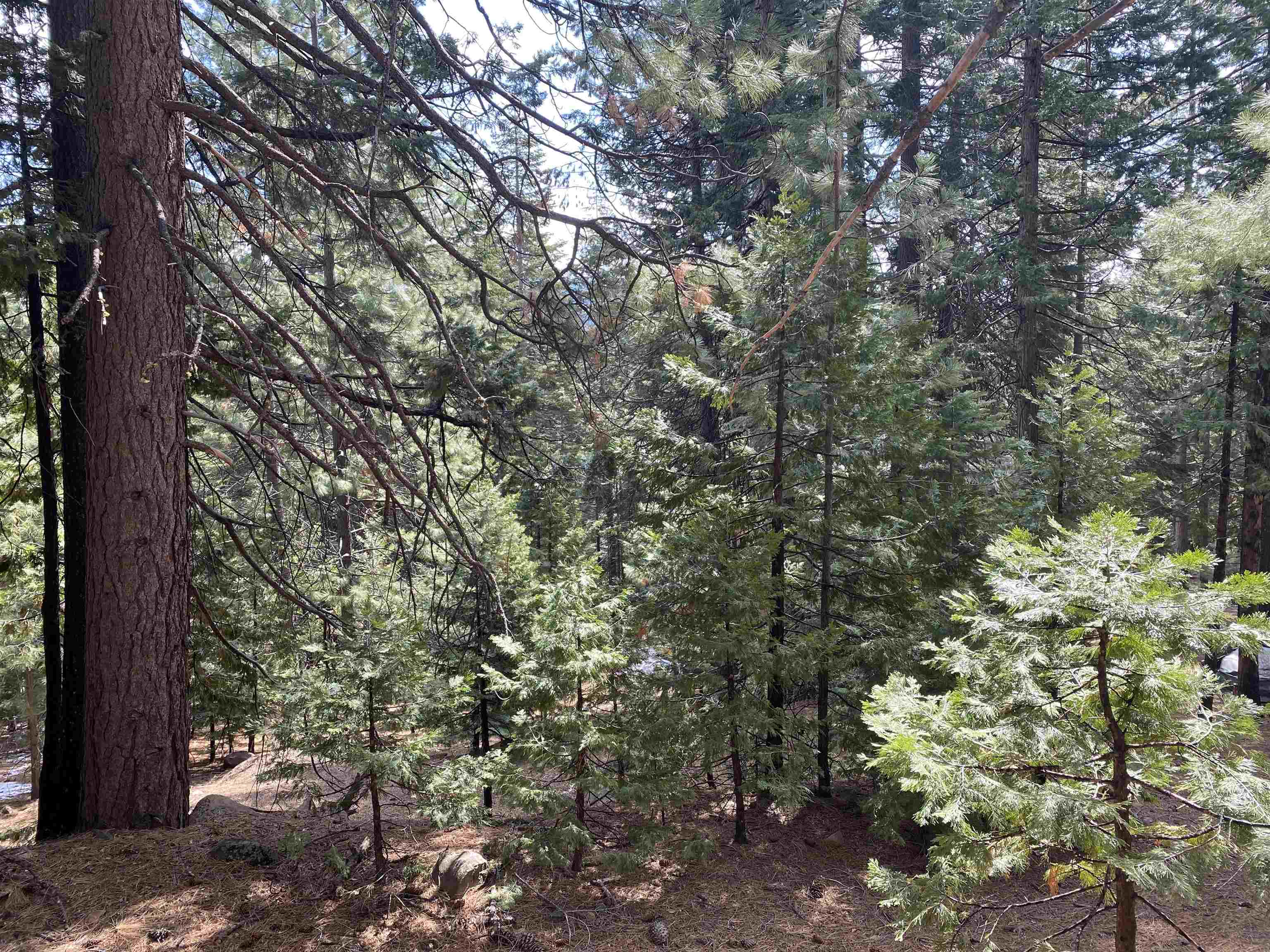 618 Lake Ridge Road, Lake Almanor, New Mexico image 1