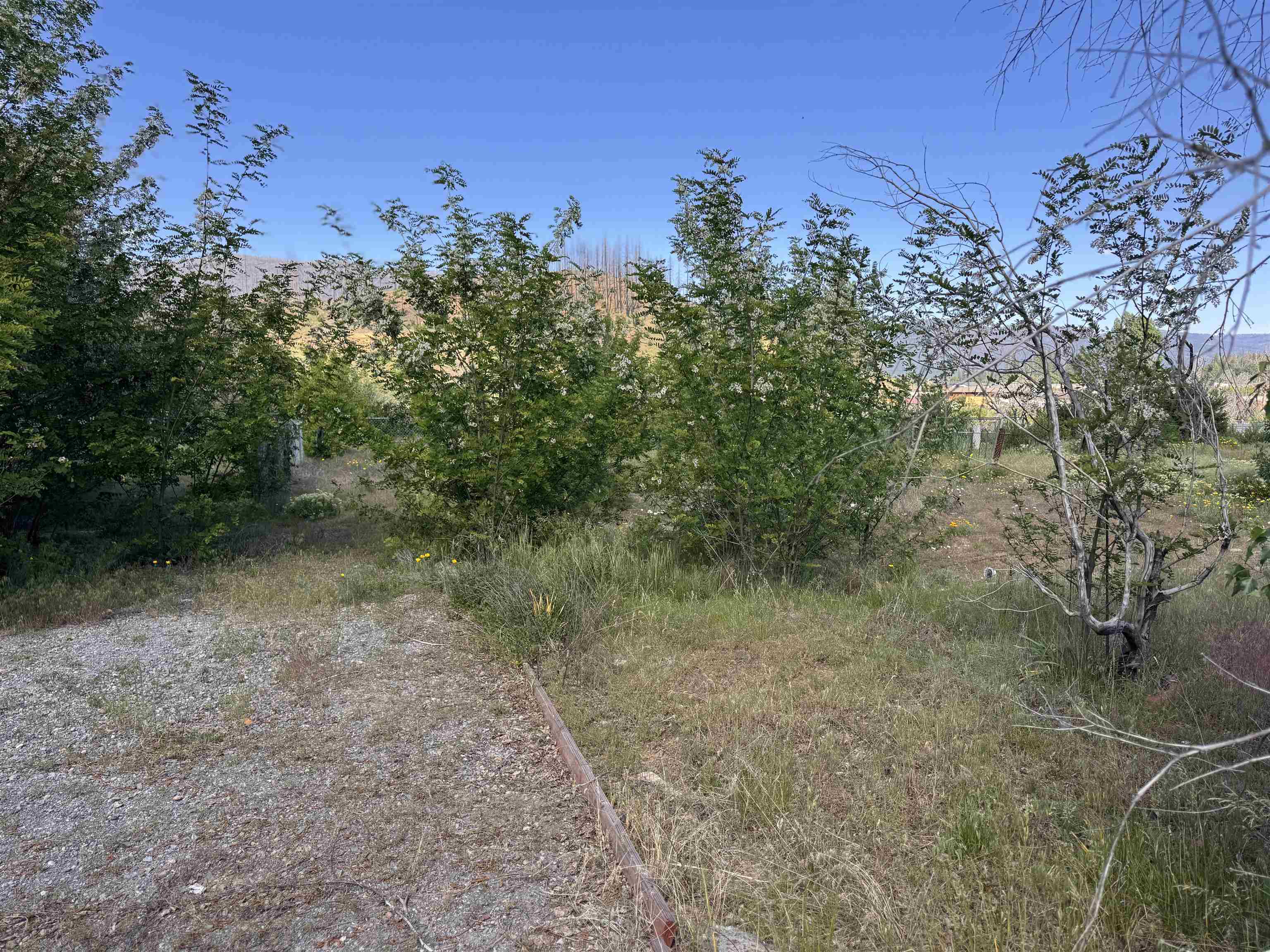 225 Greenville Wolf Creek Road, Greenville, Ohio image 5