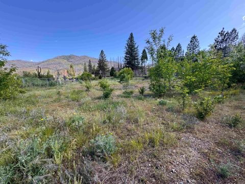 Homes For Sale - 225 Greenville Wolf Creek Road Rd<br/> Greenville, CA 95947