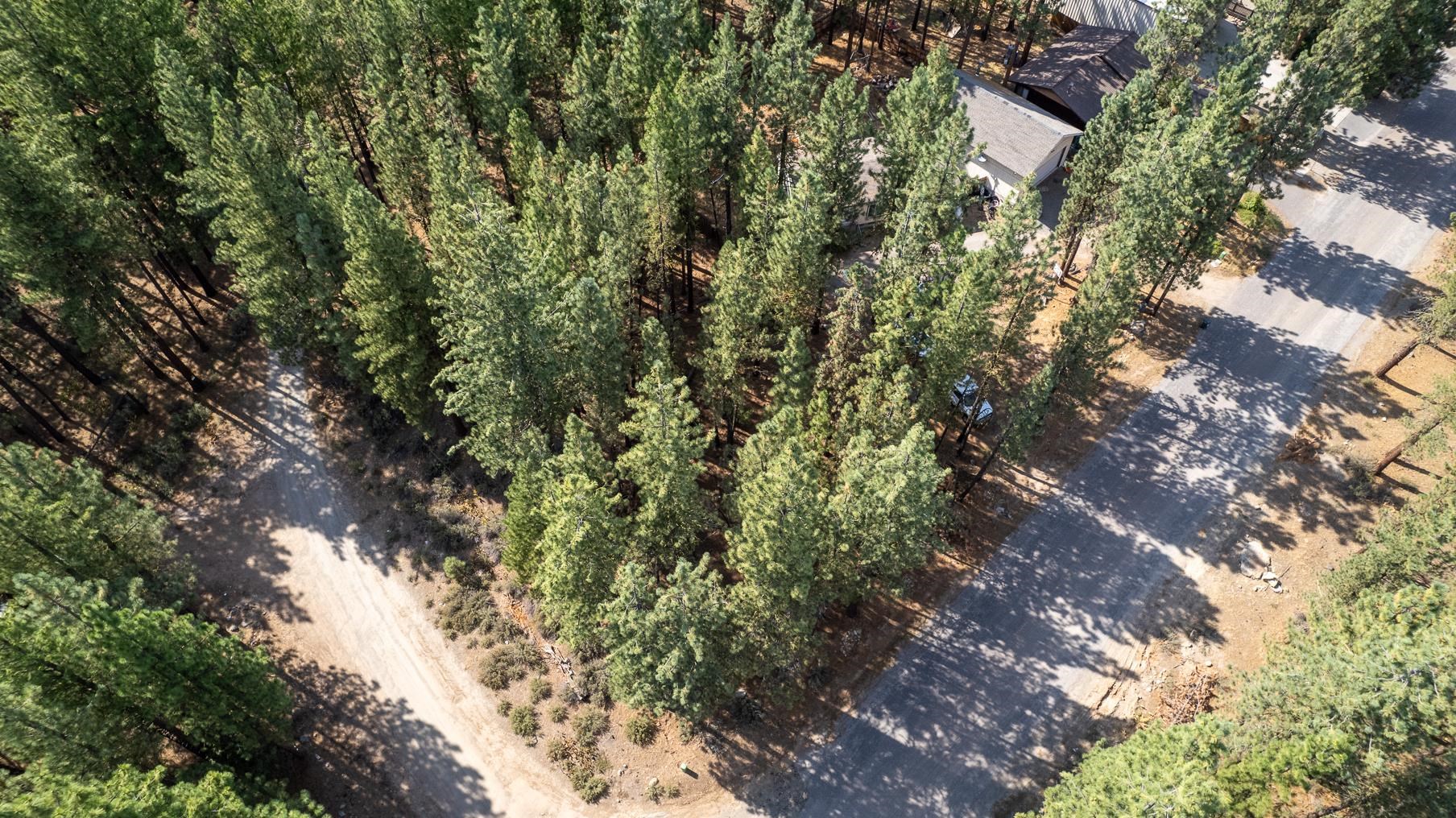 167 Bear Way, Portola, California image 9