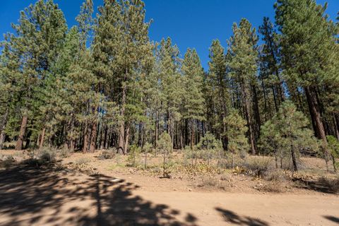Vacant Land For Sale - 167 Bear Way Way<br/> Plumas County, Portola, CA 96122