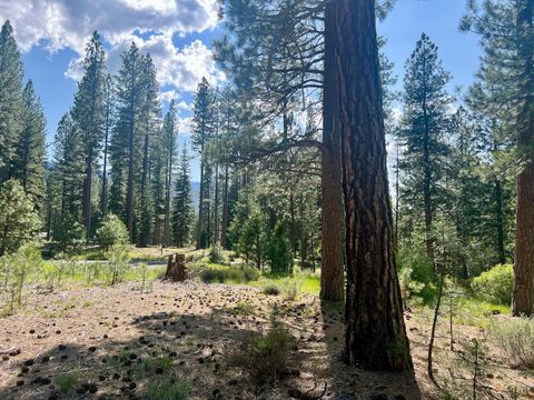 Vacant Land For Sale - 950 Miner's Passage<br/> Clio, CA 96106