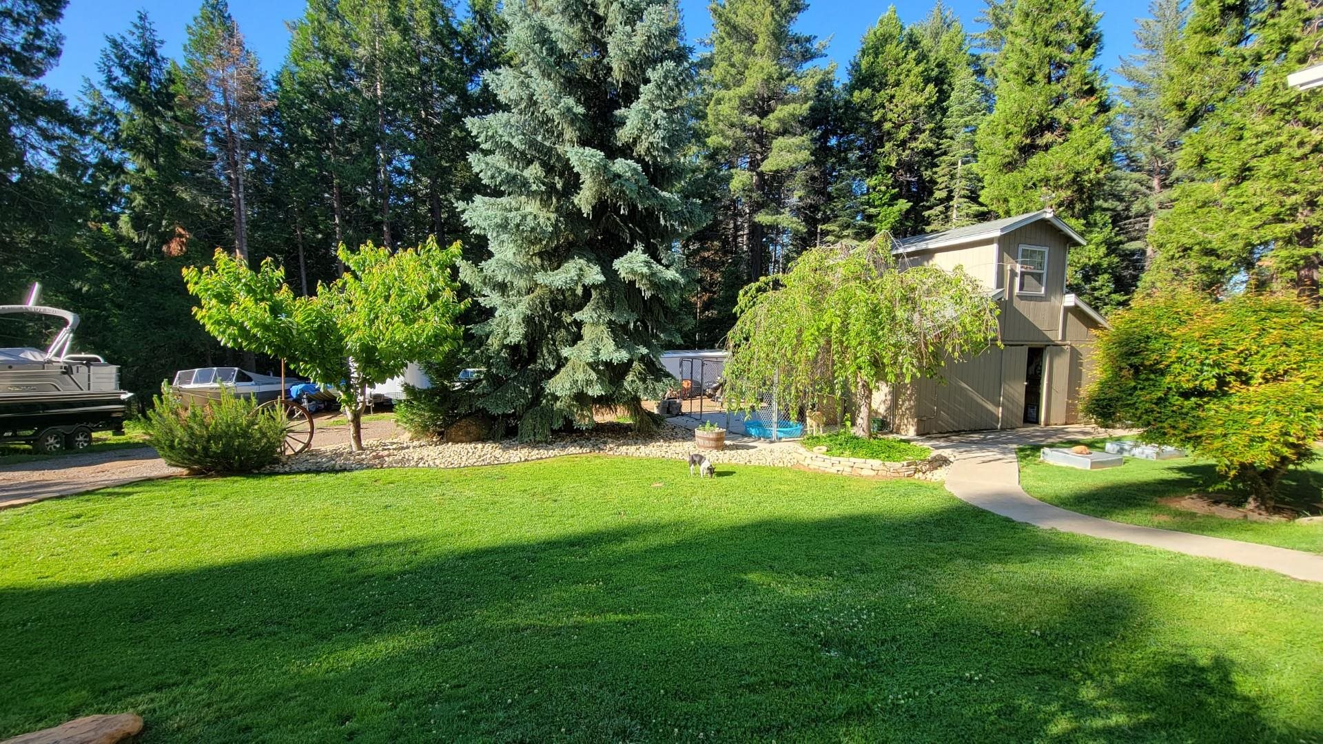 6878 Almanor Lake Estates Drive, Lake Almanor, Texas image 47